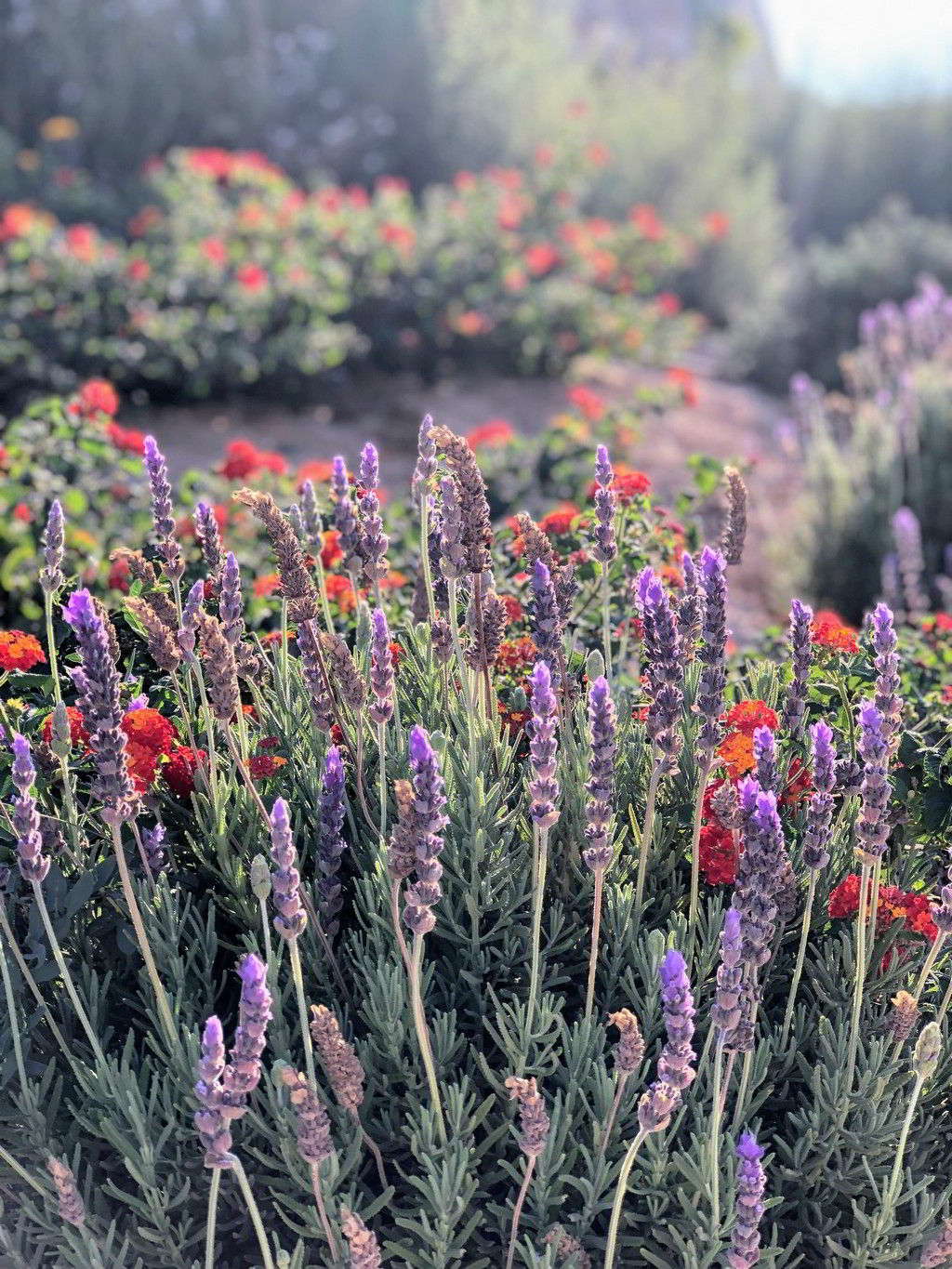 garden decor ideas