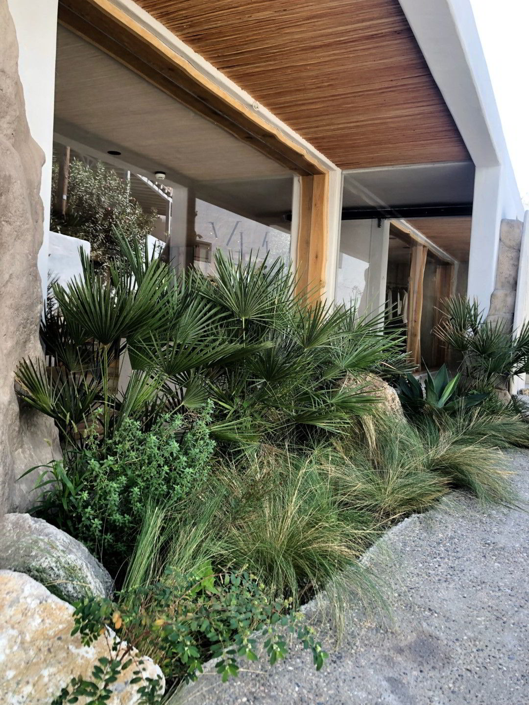 garden decor ideas