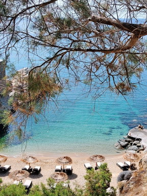 the wild hotel by interni mykonos the hotel trotter