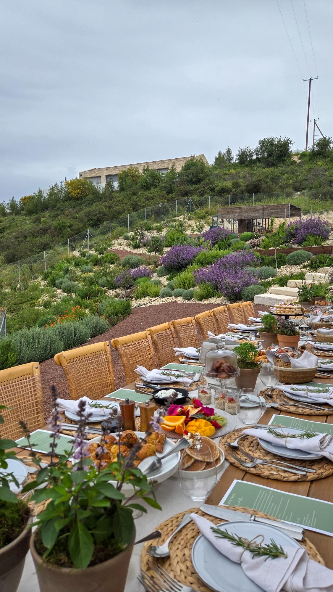 minthis resort in cyprus (2)